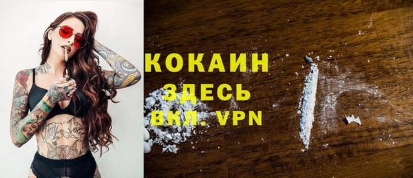 МДПВ Михайлов