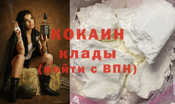 МДПВ Михайлов
