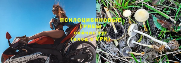 тгк Михайловка