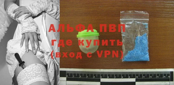 эйфоретик Михайловск